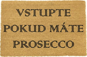 Rohožka z přírodního kokosového vlákna Artsy Doormats Vstupte