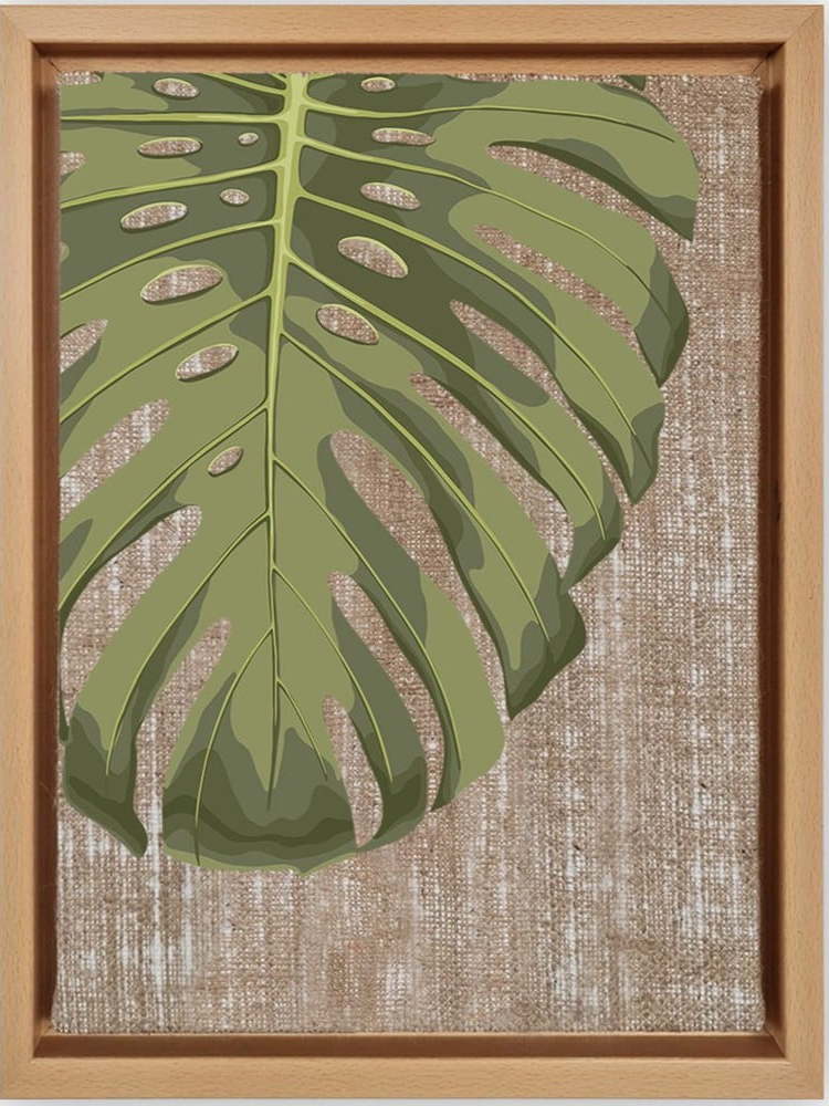 Obraz 36x46 cm Monstera – Wallity Wallity